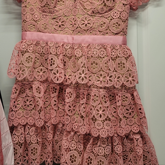 Self Portrait Pink Lace Mini Dress - Picture 5 of 11